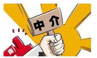 合肥房产中介诚信系统上线 重塑行业信任的关键一步
